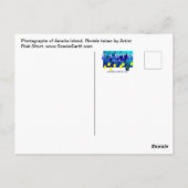 Carte postale Amelia Island Florida Seascape Photo (Dos)