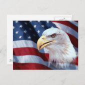 Carte Postale Américain Eagle (Devant / Derrière)