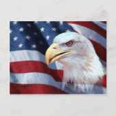 Carte Postale Américain Eagle (Devant)