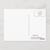 Carte postale américaine (Dos)