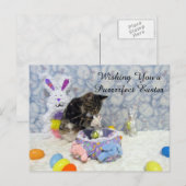 Carte postale américaine de Pâques de Bandit (3420 (Devant / Derrière)