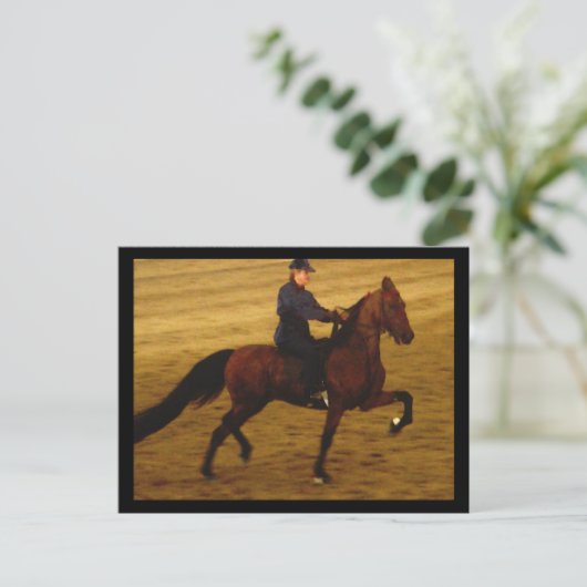 Carte postale américaine Saddlebred (Debout devant)