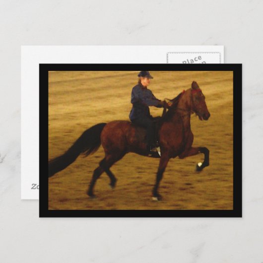 Carte postale américaine Saddlebred (Devant / Derrière)