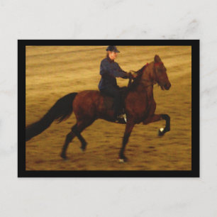 Carte postale américaine Saddlebred