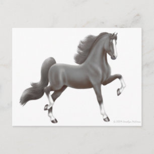 Carte postale américaine Saddlebred Horse