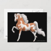 Carte postale américaine Saddlebred Pinto (Devant / Derrière)