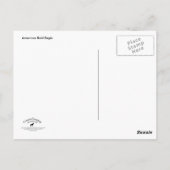 Carte Postale American Bald Eagle 2 (Dos)