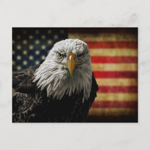 Carte Postale American Bald Eagle on Grunge Flag