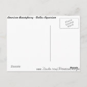 Carte Postale American Beautyberry # 3 (Dos)