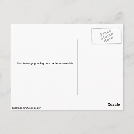 Carte Postale American Cocker Spaniel (Dos)