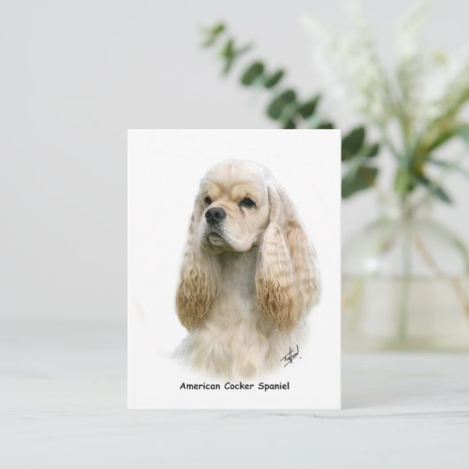 Carte Postale American Cocker Spaniel 9Y244D-035 (Debout devant)