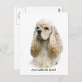 Carte Postale American Cocker Spaniel 9Y244D-035 (Devant / Derrière)