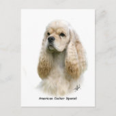 Carte Postale American Cocker Spaniel 9Y244D-035 (Devant)