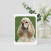 Carte Postale American Cocker Spaniel 9Y244D-035_2 (Debout devant)