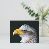 Carte postale American Eagle (Debout devant)