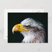 Carte postale American Eagle (Devant / Derrière)