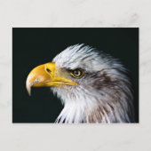 Carte postale American Eagle (Devant)