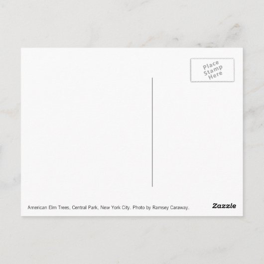 Carte postale American Elm Trees (Dos)