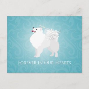 Carte Postale American Eskimo Chien animal de compagnie perdre l