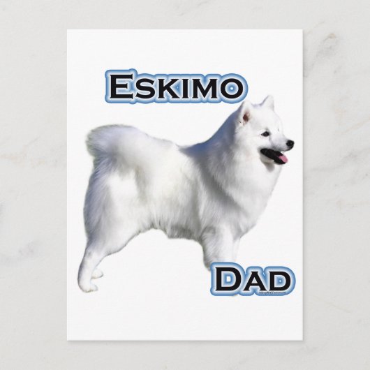 Carte Postale American Eskimo Chien Papa 4 (Devant)