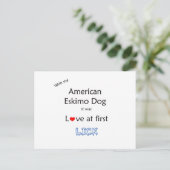 Carte Postale American Eskimo Dog Lick Design (Debout devant)