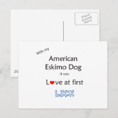 Carte Postale American Eskimo Dog Lick Design (Devant / Derrière)