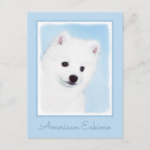 Carte Postale American Eskimo Dog Painting - Original Dog Art
