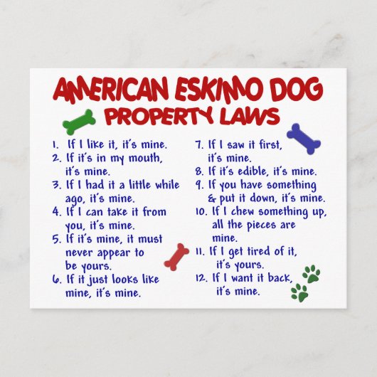 Carte Postale AMERICAN ESKIMO DOG Property Laits 2 (Devant)