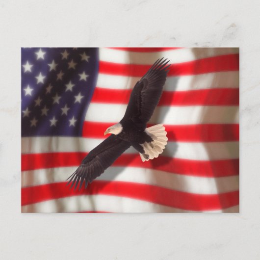 Carte postale American Flag & Eagle (Devant)