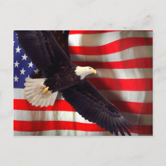 Carte postale American Flag & Eagle