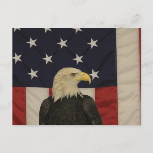 Carte postale American Flag et Bald Eagle (Devant)
