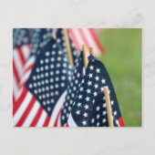 Carte postale American Flags (Devant)