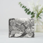 Carte postale "American Forest Game" (Debout devant)