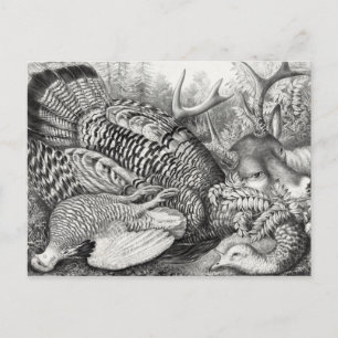 Carte postale "American Forest Game"