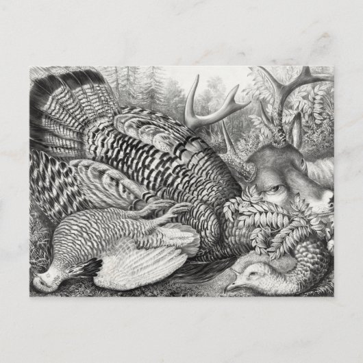 Carte postale "American Forest Game" (Devant)