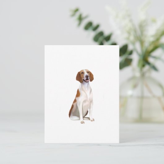 Carte Postale American Foxhound (A) (Debout devant)