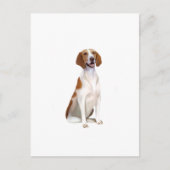 Carte Postale American Foxhound (A) (Devant)