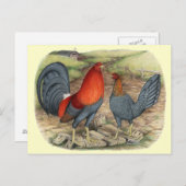 Carte Postale American Game Blue Reds (Devant / Derrière)