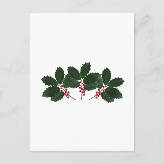 Carte Postale American Holly Feuilles - Berries (Devant)