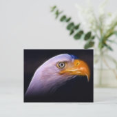 Carte Postale American Patriotic Bald Eagle, Symbole National (Debout devant)