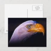 Carte Postale American Patriotic Bald Eagle, Symbole National (Devant / Derrière)