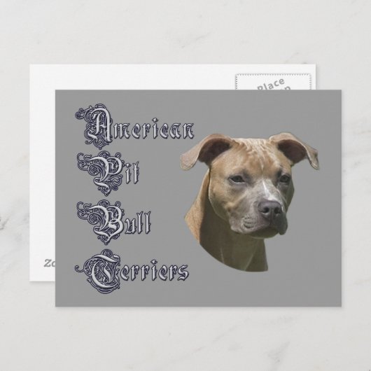 Carte postale American Pit Bull Terrier (APBT) (Devant / Derrière)