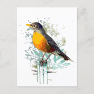 Carte Postale American Robin Garden Bird Wildlife Art Nature