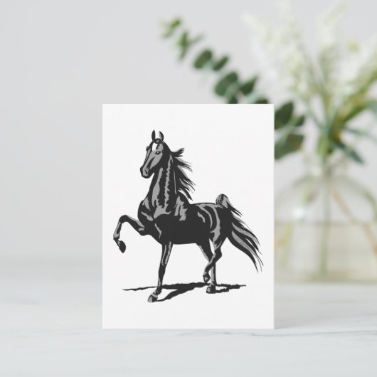 Carte Postale American Saddlebred (Debout devant)