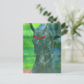 Carte Postale American Saddlebred (Debout devant)