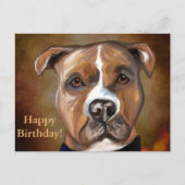 CARTE POSTALE AMERICAN STAFFORDSHIRE TERRIER  (Devant)