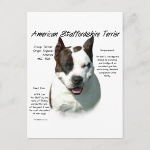 Carte Postale American Staffordshire Terrier History,