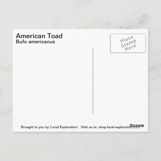 Carte Postale American Toad (Dos)