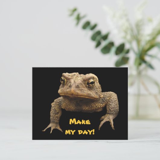 Carte Postale American Toad (Debout devant)