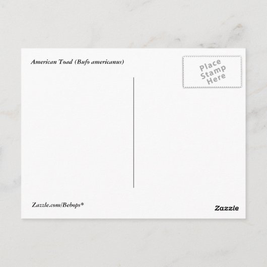 Carte Postale American Toad (Dos)